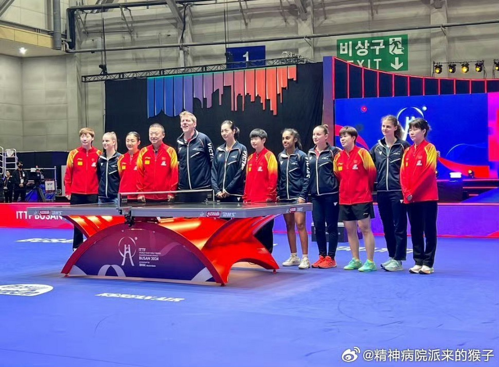 法国队碾压马来西亚队，马琳带队取胜