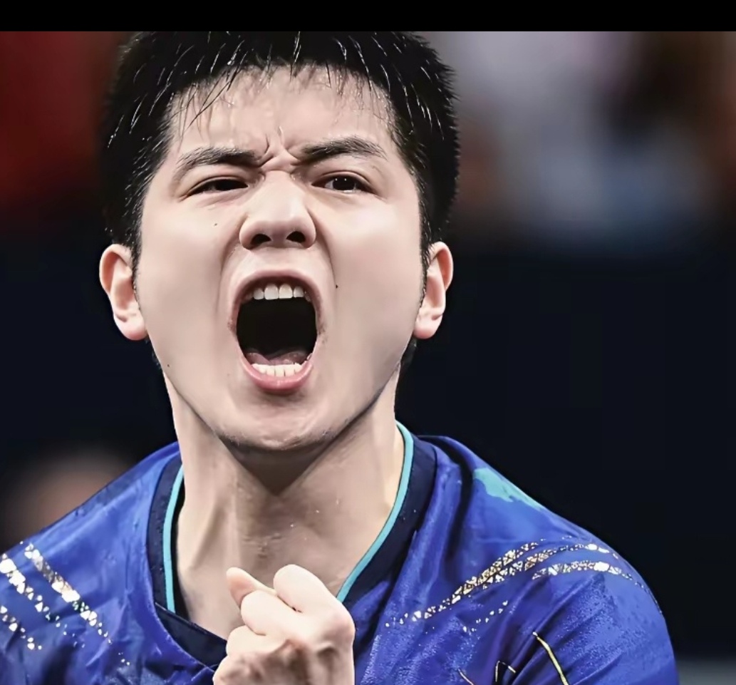 法国队绝杀瑞典队，樊振东状态火热的简单介绍