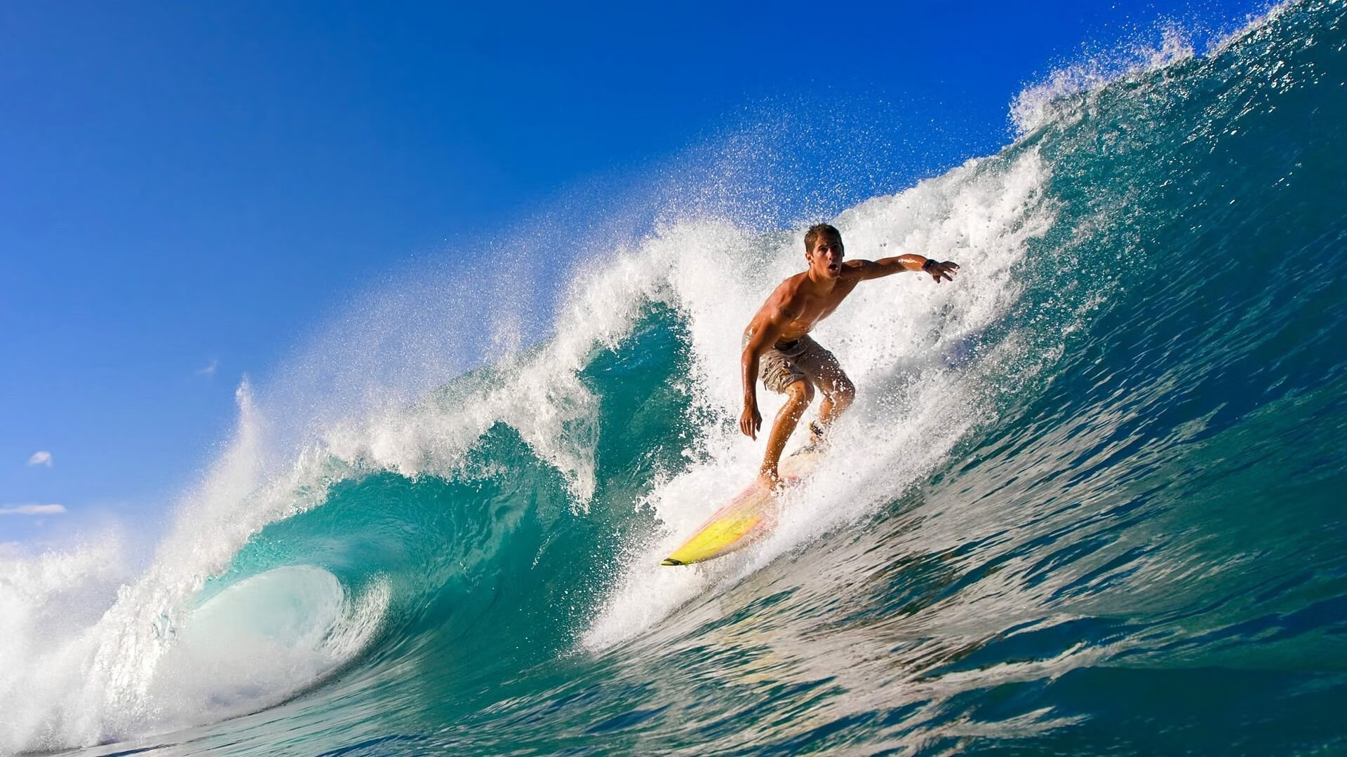 赛道上的灰熊时刻,霍勒迪如何在F1年度争冠中带走雄鹿