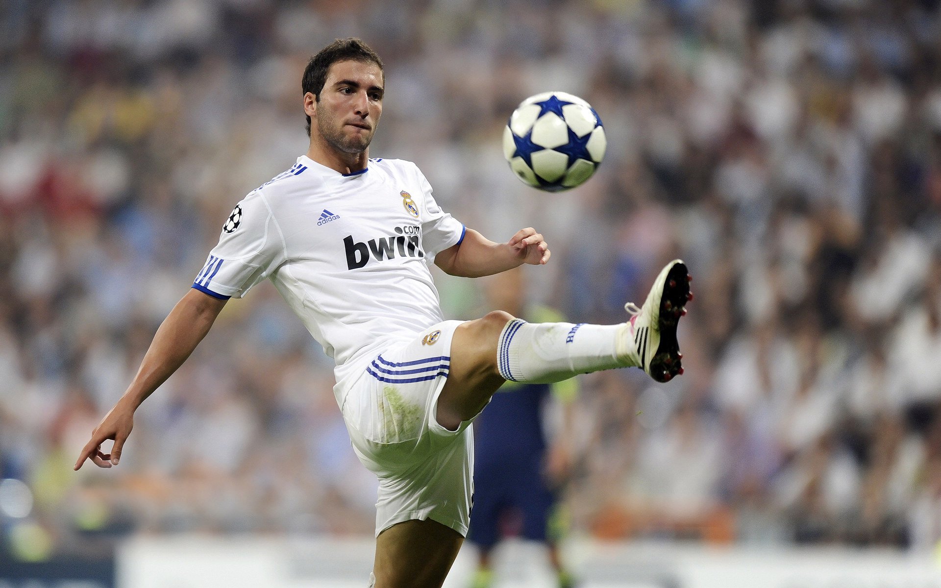 波尔状态火热导演绝杀好戏，法国队一剑封喉终结韩国队